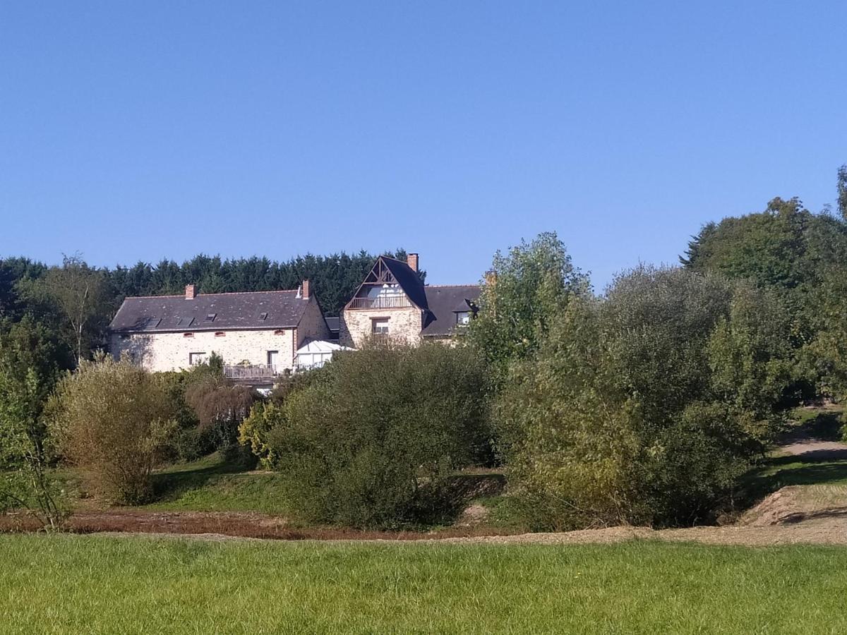 Gite La Pironniere - Piscine, Nature, Au Bord De La Riviere Montreuil-sur-Maine Ngoại thất bức ảnh
