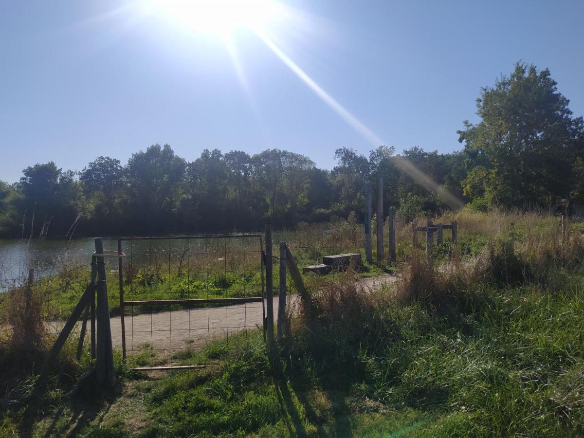Gite La Pironniere - Piscine, Nature, Au Bord De La Riviere Montreuil-sur-Maine Ngoại thất bức ảnh
